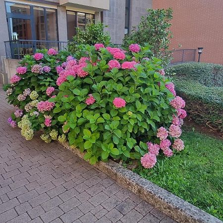 Ferienwohnung La Casetta Di Grazia E Nino Buccinasco Exterior foto
